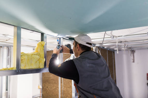 Best Types of Insulation in North Redington Beach, FL